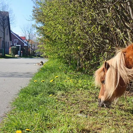 Апартаменты Denise