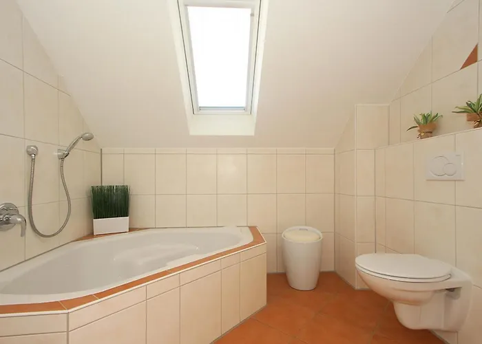 Denise بولتينهاجين